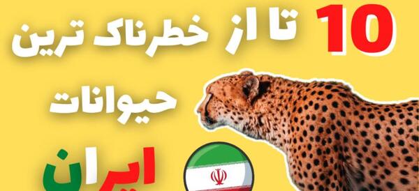 عکس خطرناک ترین حیوانات دنیا