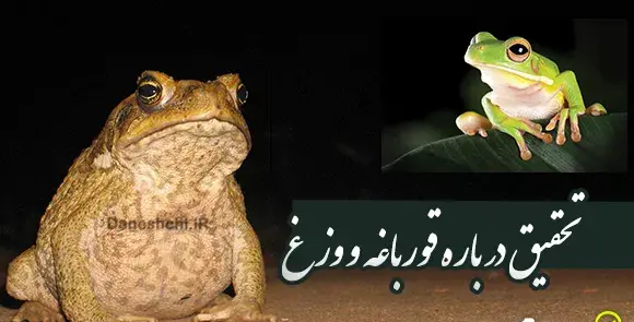 عکس انواع حیوانات دوزیست