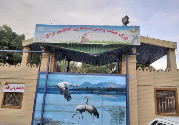 عکس حیوانات باغ وحش اراک