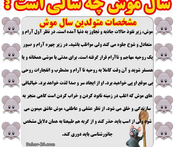 عکس حیوانات ماه های سال
