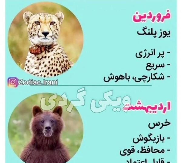 عکس حیوانات ماه های سال
