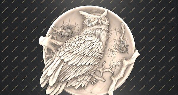 عکس نقاشی سه بعدی حیوانات