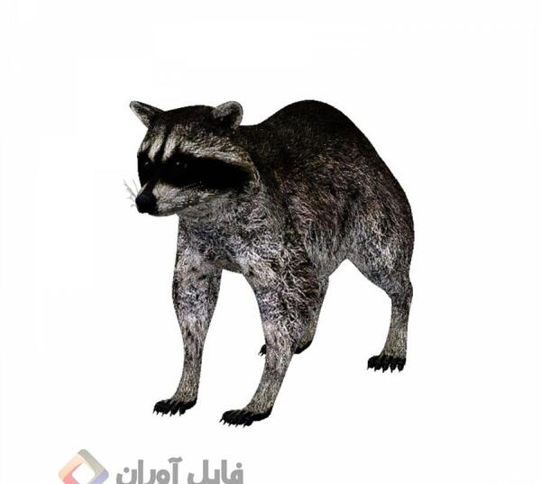عکس سه بعدی از حیوانات