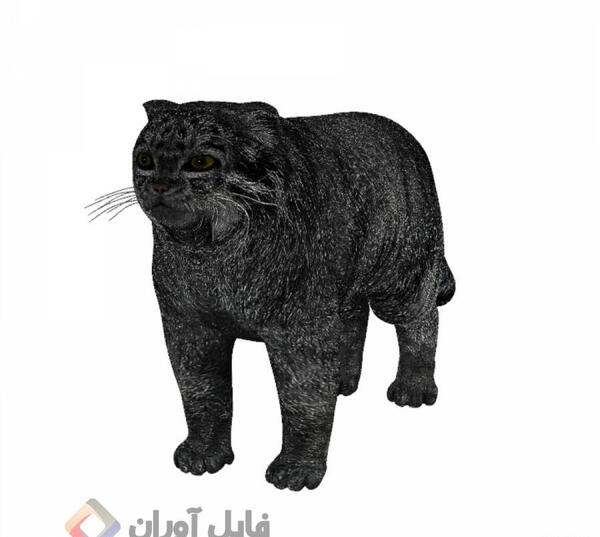 عکس سه بعدی از حیوانات