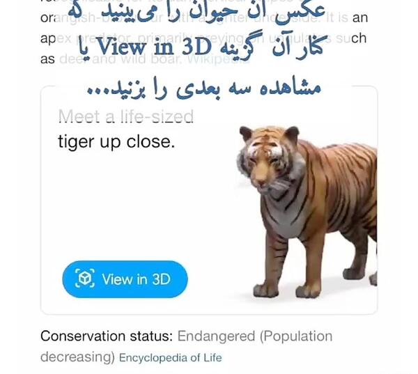 عکس سه بعدی از حیوانات