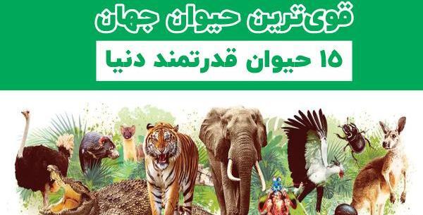 عکس قوی ترین حیوانات دنیا