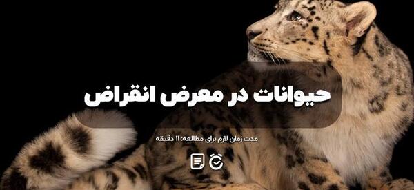 عکس های حیوانات گوشتخوار