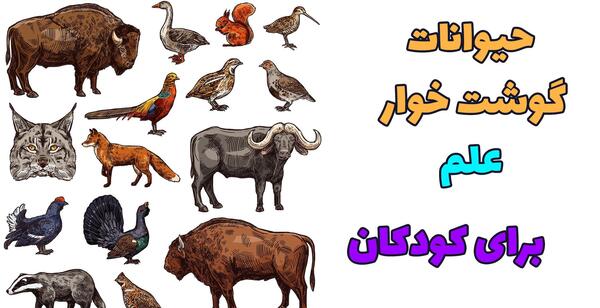 عکس های حیوانات گوشتخوار