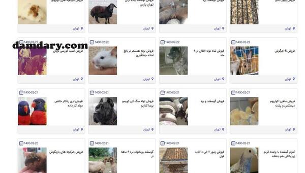 عکس حیوانات گرگان