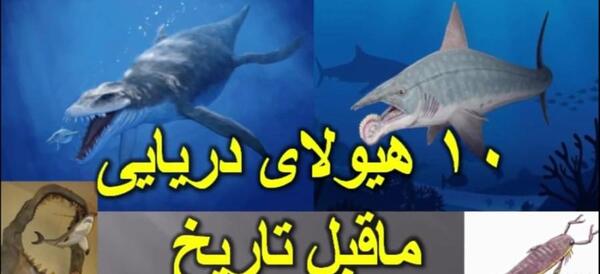 عکس حیوانات دریایی ماقبل تاریخ