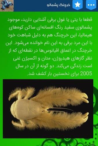 عکس حیوانات ناشناخته و عجیب