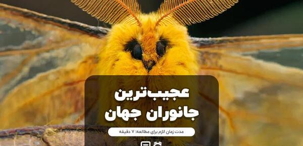 عکس نادرترین حیوانات جهان