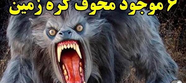 عکس حیوانات وحشی ترسناک