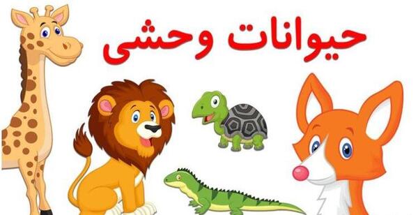 عکس حیوانات اهلی و وحشی پیش دبستانی