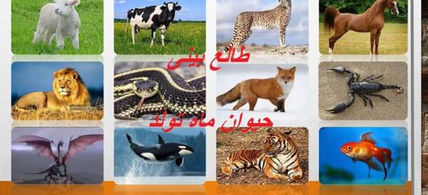 عکس حیوانات متولدین هر ماه