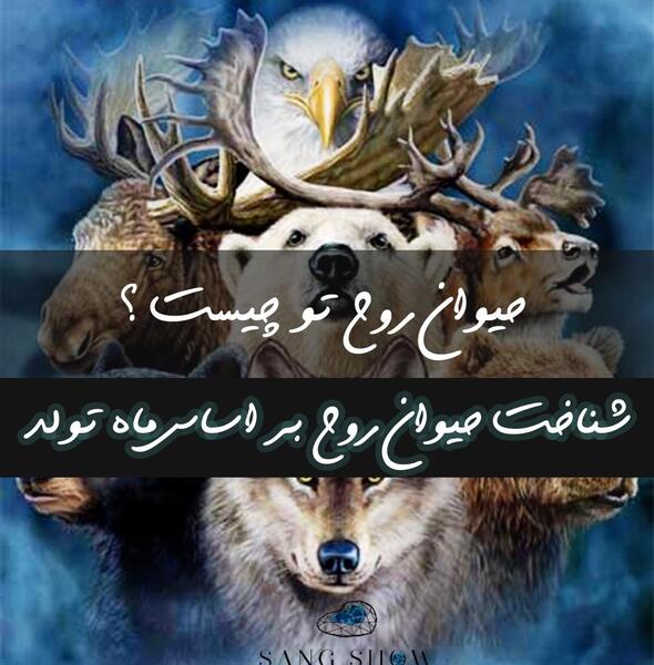 عکس حیوانات متولدین هر ماه