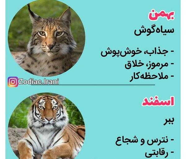 عکس حیوانات متولدین هر ماه