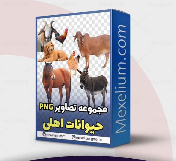 عکس همه حیوانات اهلی