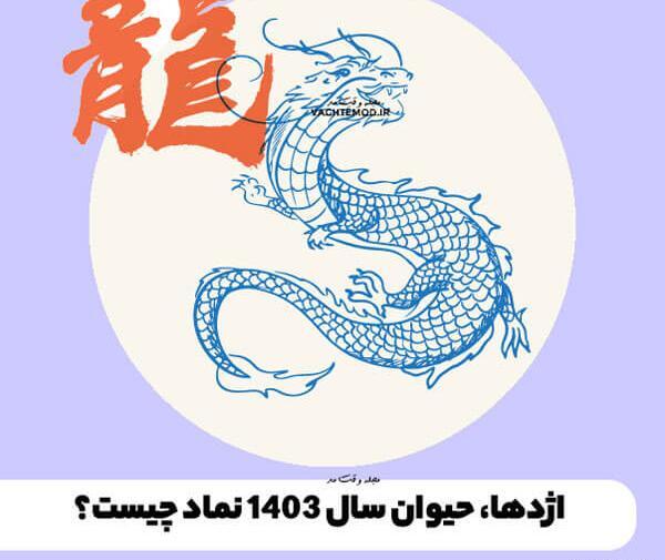 عکس حیوان سال ۱۴۰۳
