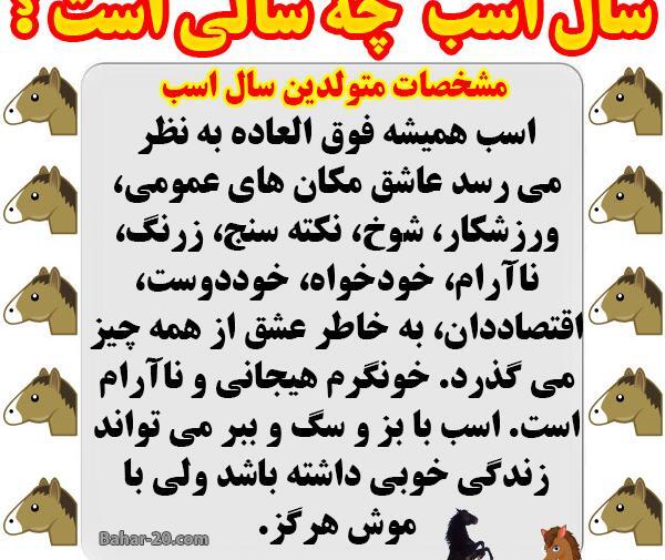 عکس حیوان سال ۱۳۹۳