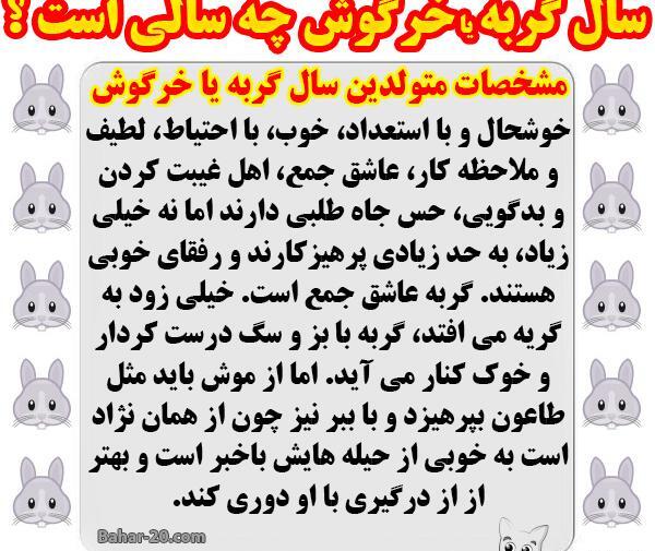 عکس حیوان سال ۱۳۹۰