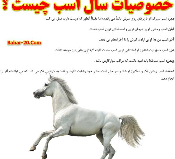 عکس حیوان سال ۱۴۰۵