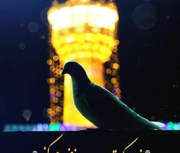 عکس حرم امام رضا علیه السلام برای تصویر زمینه