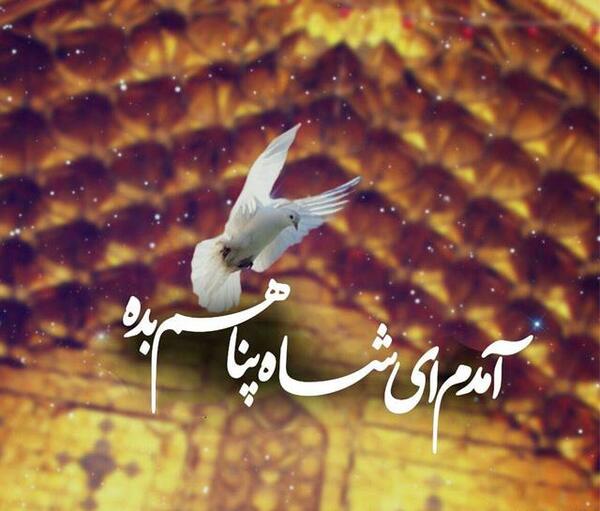 عکس حرم امام رضا با متن دلتنگی