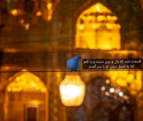 عکس متن دار حرم امام رضا