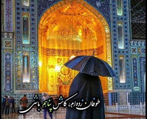 عکس حرم امام رضا دختر