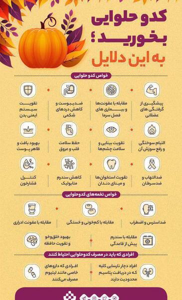 عکس کدو حلوایی و کدو تنبل