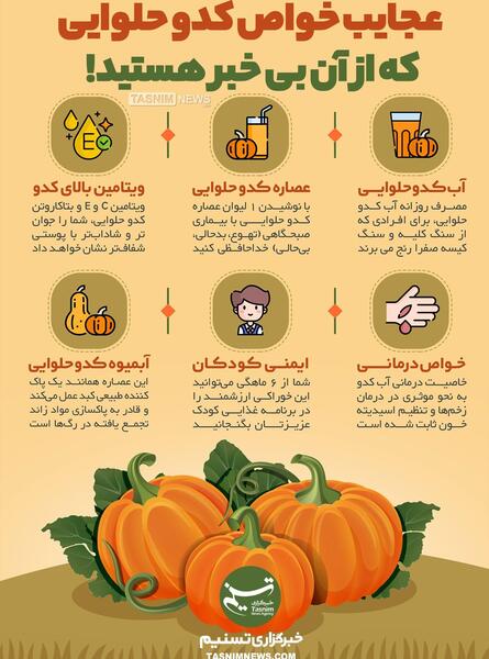 عکس کدو حلوایی و کدو تنبل