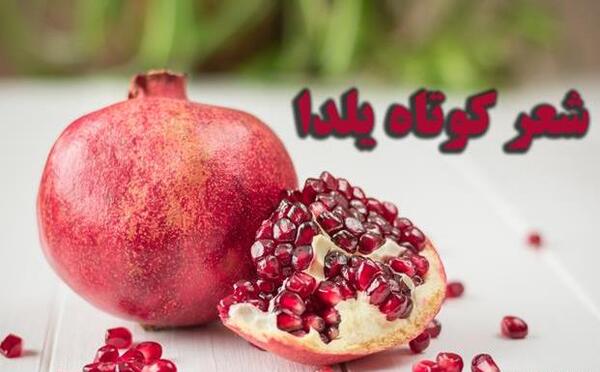 عکس شعر حافظ برای شب یلدا