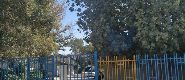 عکس تالار حافظ زرقان