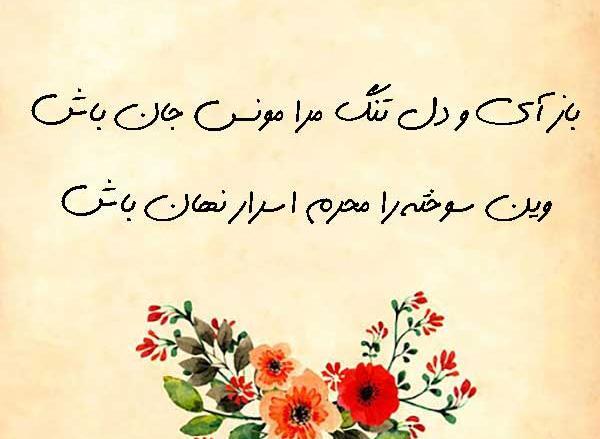 عکس پروفایل سعدی حافظ
