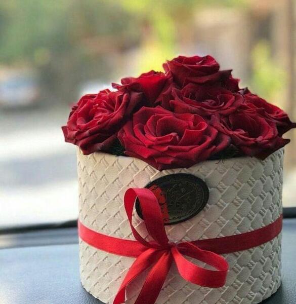 قشنگ شیک عکس خاص و زیبا