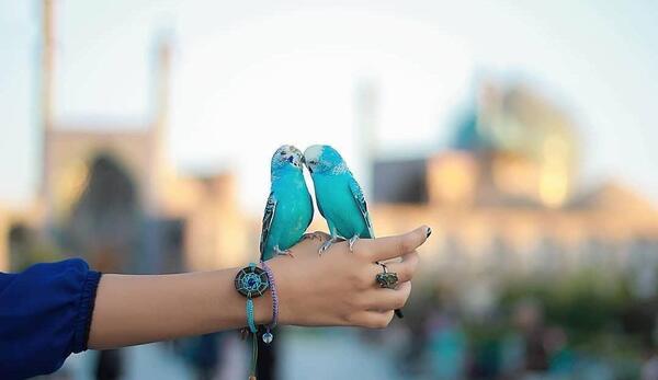 عکس هنری زیبا و خاص