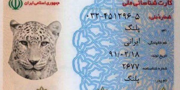عکس خنده دار جدید ۱۴۰۲
