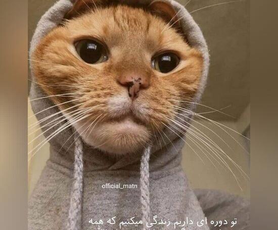 عکس های خنده دار استوری
