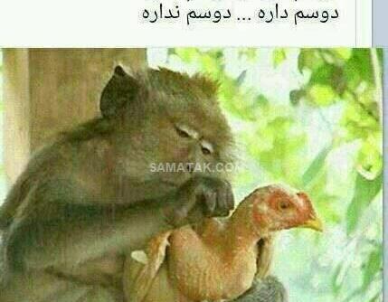 عکس خنده دار با متن طنز