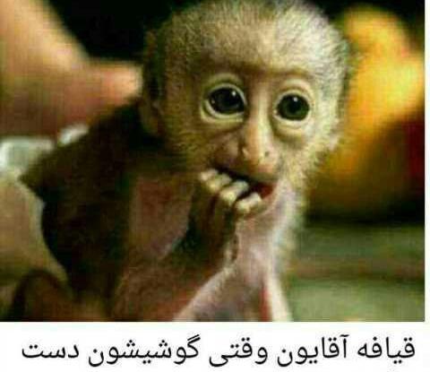 عکس خنده دار ترین مرد دنیا