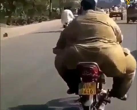 عکس چاقالو خنده دار