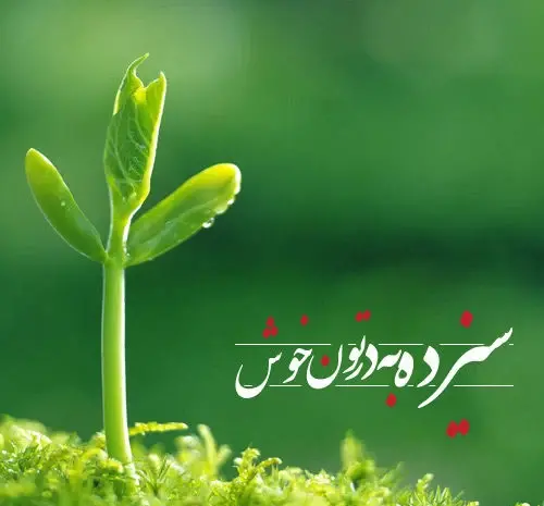 عکس های خنده دار سیزده بدر