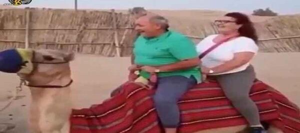 عکس خنده دار شترمرغ