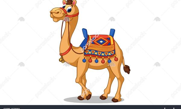 عکس خنده دار از شتر