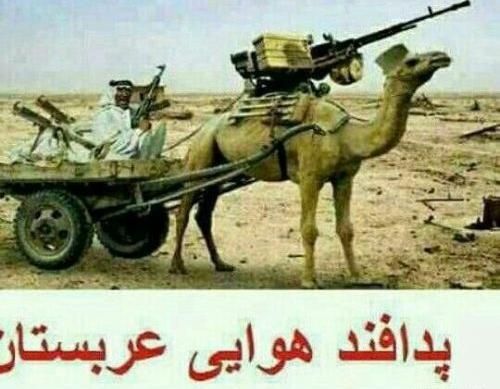 عکس های خنده دار شتر مرغ