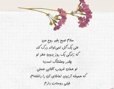 عکس نوشته های صبح بخیر خنده دار