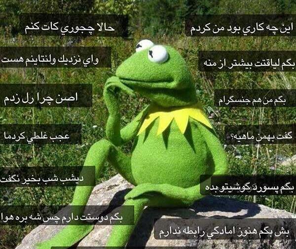 عکس خنده دار از قورباغه
