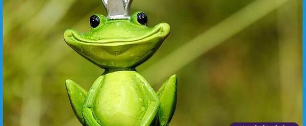 عکس خنده دار از قورباغه