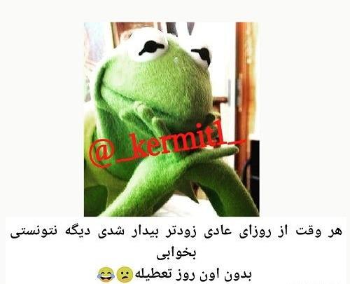 عکس گروه خانوادگی خنده دار